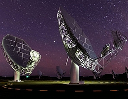 Osservatorio sudafricano della radioastronomia (SARAO)
