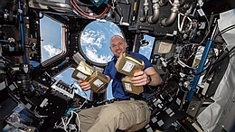 Die Wildblumensamenmischungen waren mehrere Monate mit ESA-Astronaut Alexander Gerst auf der Internationalen Raumstation.
(Bild: ESA)