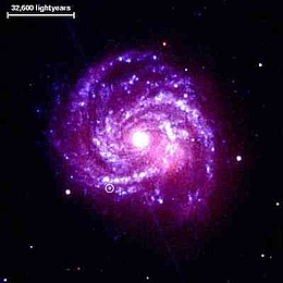 Bild der Supernova SN 1979 (Bild: NASA)