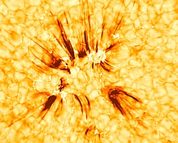 In der Chromosphäre der Sonne zeigen sich die Spikulen als langgezogene, fingerartige Strukturen. Sie sind typischerweise 5000 Kilometer lang und nur etwa 200 Kilometer breit.
(Bild: Courtesy of Samanta et al.; Data courtesy of BBSO/GST and NASA/SDO)