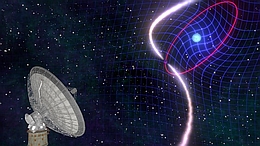 Das Doppelsternsystem PSR J1141-6545, bestehend aus einem Pulsar und einem Weißen Zwerg, wurde mit dem Parkes-Radioteleskop in Australien entdeckt. Der Pulsar umkreist seinen Begleiter in jeweils 4,8 Stunden. Die schnelle Rotation des Weißen Zwerges verwirbelt die Raumzeit und führt dadurch zu einer Änderung in der Orientierung bzw. Präzession der Umlaufbahn des Sternpaars. (Bild: Mark Myers/ARC Centre of Excellence for Gravitational Wave Discovery (OzGrav), Australien)