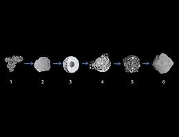 Entstehungsszenario für Ryugu. (Bild: Okada et al. Nature 2020)