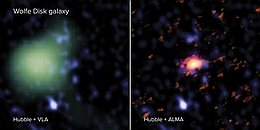 Die Wolfe-Scheibe, gesehen mit ALMA (rechts - in rot), mit dem VLA (links - in grün) und dem Hubble-Weltraumteleskop (beide Bilder - blau). Im Radiolicht betrachtete ALMA die Bewegungen der Galaxie und maß die Masse des atomaren Gases und des Staubs, während das VLA die Masse des molekularen Gases bestimmte. Im UV-Licht beobachtete das Hubble-Weltraumteleskop massereiche Sterne. Das VLA-Bild wurde mit einer geringeren räumlichen Auflösung als das ALMA-Bild aufgenommen und sieht daher größer und pixeliger aus.
(Bild: ALMA (ESO/NAOJ/NRAO), M. Neeleman; NRAO/AUI/NSF, S. Dagnello; NASA/ESA Hubble)