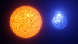 Flecken auf extremen Horizontalaststernen (rechts) scheinen ganz anders zu sein als die dunklen Sonnenflecken auf der Sonne (links). Beide werden jedoch durch Magnetfelder verursacht. Die Flecken auf diesen heißen, extremen Sternen sind heller und heißer als die umgebende Sternoberfläche, im Gegensatz zur Sonne, wo wir Flecken als dunkle Verfärbungen auf der Sonnenoberfläche sehen, die kühler sind als ihre Umgebung. Die Flecken auf extremen Horizontalaststernen sind auch deutlich größer als Sonnenflecken und bedecken bis zu einem Viertel der Sternoberfläche. Während die Sonnenflecken in ihrer Größe variieren, entspricht eine typische Größe einem erdgroßen Planeten, 3000 mal kleiner als ein riesiger Fleck auf einem extremen Horizontalaststern.
(Bild: ESO/L. Calçada, INAF-Padua/S. Zaggia)