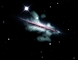 Die Spiralgalaxie NGC 4217 besitzt ein riesiges Magnetfeld, das hier in Form von grünen Linien gezeigt ist. Die Radiodaten für diese Visualisierung wurden mit dem Karl G. Jansky Very Large Array (VLA) aufgenommen. Das optische Hintergrundbild der von der Seite gezeigten Galaxie entstammt Daten des Sloan Digital Sky Survey und des Kitt Peak National Observatory.
(Bild: Y. Stein, unterstützt von J. English. VLA-Beobachtungen: Y. Stein und R.-J. Dettmar im Rahmen von CHANG-ES (Leitung: J. Irwin). Optische Daten: SDSS; ionisierter Wasserstoff (rot): R. Rand (0,9-m-Teleskop KPNO); Software-Code: A. Miskolczi & Y. Stein (adaptiert vom Linear Integral Convolution code).)