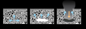 ESA, Rosetta, J-B Vincent et al. (2015)