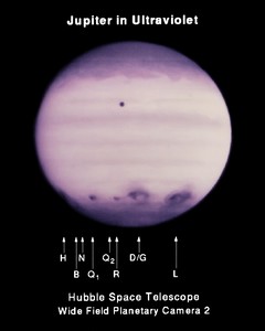 Hubble Space Telescope Comet Team
