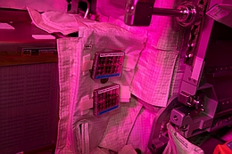 ESA/NASA