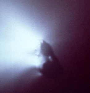 Giotto-Nahaufnahme vom Kometenkern des Halleyschen Kometen.
(Foto: ESA)