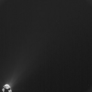 Noch unter den 'Nachwirkungen' des kurz zuvor erfolgten Übertritts in den Sicherheitsmodus fertigte die Navigationskamera der Raumsonde Rosetta diese Aufnahme des Kometen 67P/Tschurjumow-Gerassimenko am 2. April 2015 aus einer Entfernung von etwa 383 Kilometern zu dessen Oberfläche an. Besonders gut sind dabei die von der Kometenoberfläche entweichenden Jets aus Gas und Staubpartikeln erkennbar. Die dabei erreichte Auflösung liegt bei 33 Metern pro Pixel.
(Bild: ESA, Rosetta, NavCam - CC BY-SA IGO 3.0)