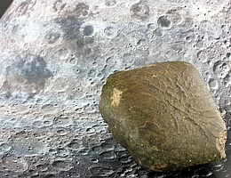 Oued Awlitis 001 Meteorit. (Bild: NHM Wien, Ludovic Ferrière)