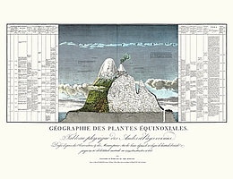 Humboldts «Tableau physique des Andes» als klimatologisches Diagramm Quelle: «Tableau physique des Andes» zu Alexander von Humboldt und Aimé Bonpland, Essai sur la Géographie des Plantes accompagné d’un tableau physique des régions équinoxiales, Paris, Tübingen: F. Schoell und J. G. Cotta 1807. (Bild: zvg)