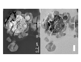 Ein einzigartiger Prototyp von mikrobiellem Leben, gezüchtet auf echtem Marsgestein: Das Bild, aufgenommen mit einem Transmissionselektronenmikroskops, zeigt das inhomogene, robuste und grobkörnige Innere von M. sedula, das mit kristallinen Ablagerungen gefüllt ist. (Bild: Tetyana Milojevic)