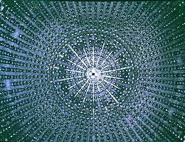 Der Blick ins Innere des Borexino-Detektors zeigt einen Teil der 2.000 empfindlichen Sensoren. (Bild: Borexino Collaboration)