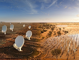 Künstlerische Darstellung der SKA-Antennen. Links: für mittlere Frequenzen (SKA-MID, Südafrika); rechts: für niedrige Frequenzen (SKA-LOW, Australien). (Bild: SKAO)