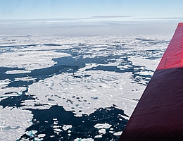 Arktisches Meereis (Bild: Alfred-Wegener-Institut / Esther Horvath)