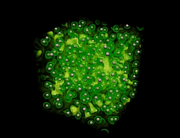 Atomstruktur und Elektronenverteilung in warmer dichter Materie. (Bild: Attila Cangi)