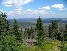 Mittelgebirgslandschaft des Bayerischen Waldes. (Bild: Kurt Seebauer CC BY-SA 3.0 via Wikipedia)