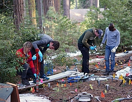 Forschende der Universität Zürich nehmen Bodenproben im Sierra Nevada National Forest in Kalifornien. (Bild: Michael W.I. Schmidt)