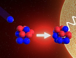 Neuer Blick auf altbekannte Kernreaktion: Beim Zusammenprall eines Kohlenstoffkerns mit einem Wasserstoffkern entsteht das Isotop Stickstoff-13 und Gammastrahlung wird frei. (Grafik: Bernd Schröder/ HZDR)