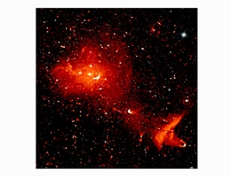 Der Coma-Cluster ist 300 Millionen Lichtjahre von der Erde entfernt und besteht aus mehr als 1.000 Galaxien. Eine Untersuchung des Clusters in den 1930er Jahren gab erste Hinweise auf die Notwendigkeit der Existenz von dunkler Materie. (Bild: Annalisa Bonafede)