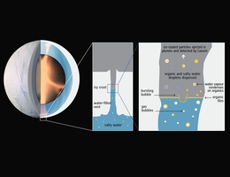 Die Grafik zeigt den Saturnmond Enceladus und seinen unter einem Eispanzer liegenden Ozean (links). Material aus dem Ozean wird durch Risse in der Nähe des Südpols des Mondes in das Weltall ausgestoßen. Auf der Wasseroberfläche vermuten Wissenschaftler eine dünne Schicht aus organischem Material (mittig), in der sich bakterielle Zellen ansammeln könnten. Gasblasen, die aus dem Ozean aufsteigen, platzen an der Wasseroberfläche und könnten dazu führen, dass die Zellen in sich bildende Eisteilchen eingeschlossen werden (rechts). Diese Eisteilchen können mit Raumsonden analysiert werden. (Grafik: ESA)
