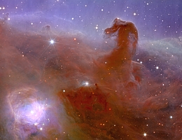 Der Pferdekopfnebel im Orion ist Teil einer großen kalten Gas- und Staubwolke, die in weiß-orangen Farben sichtbar ist. Aus dem Nebel in der unteren Hälfte des Bildes zeichnet sich eine orangefarbene Wolke in Form eines Pferdekopfes ab. Dieser Nebel hüllt junge Sterne wie in einen Kokon. Viele andere Teleskope haben Bilder des Pferdekopfnebels aufgenommen. Aber keines von ihnen ist in der Lage, ein so scharfes und weiteräumiges Bild mit nur eine Beobachtung wie dieses zu erzeugen. (Bild: ESA/Euclid/Euclid Consortium/NASA, image processing by J.-C. Cuillandre, G. Anselmi; CC BY-SA 3.0 IGO)