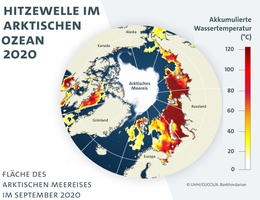 Hitzewelle im arktischen Ozean 2020 (Grafik: UHH/CLICCS/Armineh Barkhordarian)