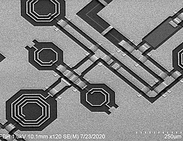 REM-Aufnahme von Galliumnitrid-MMICs. (Bild: FBH)