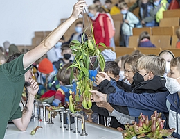 Steffen Ramm vom Botanischen Garten führt durch die Welt der fleischfressenden Pflanzen. (Foto: Thomas Roese)