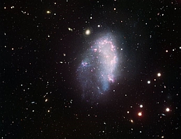 Die Zwerggalaxie NGC1427A fliegt durch den Fornax-Galaxienhaufen und erleidet dabei Störungen, die nicht möglich wären, wenn diese Galaxie durch ein schweres und ausgedehntes Halo aus dunkler Materie umgeben wäre, wie es die Standardkosmologie verlangt. (Bild: ESO)