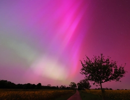 Diese Polarlichter, aufgenommen in der Nähe von Göttingen in der Nacht vom 11. Mai 2024, erscheinen in einem Farbverlauf von grün bis pink. (Bild: Sami Solanki (MPS))