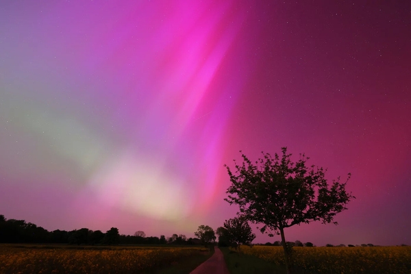 Diese Polarlichter, aufgenommen in der Nähe von Göttingen in der Nacht vom 11. Mai 2024, erscheinen in einem Farbverlauf von grün bis pink. (Bild: Sami Solanki (MPS))