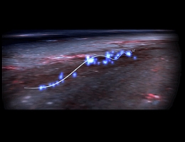 Laola in der Milchstraße: die Radcliffe-Welle in Bewegung. (Grafik: Ralf Konietzka / Harvard University)