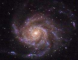 Supernova SN2023ixf in der Feuerradgalaxie M101. (Quelle: Florian Rünger)