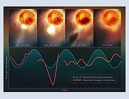 Die Abbildung zeigt die Veränderungen in der Helligkeit des roten Überriesensterns Beteigeuze nach dem gigantischen Massenauswurf eines großen Teils seiner sichtbaren Oberfläche. Das entweichende Material kühlte ab und bildete eine Staubwolke, die den Stern von der Erde aus gesehen vorübergehend dunkler erscheinen ließ. Dieser beispiellose stellare Auswurf unterbrach die 400 Tage dauernde Schwingungsperiode des Monstersterns, die Astronominnen und Astronomen seit mehr als 200 Jahren gemessen hatten. Das Innere des Sterns könnte nun wackeln wie ein Gelatine-Dessert. (Bild: NASA, ESA, Elizabeth Wheatley (STScI))