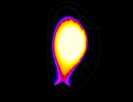 Computersimulation eines 500 Mikrosekunden andauernden Type-I-ELMs. Die Abbildung zeigt einen Querschnitt durch das Donut-förmige Vakuumgefäß eines Tokamaks. Am Rand des Fusionsplasmas bilden sich in regelmäßigen Zeitabständen wiederkehrende Eruptionen. Diese ELMs treten auf, wenn das Plasma in der H-Mode betrieben wird. Die Abbildung beruht auf Rechnungen mit dem Code JOREK in der Veröffentlichung A. Cathey et al 2020 Nucl. Fusion 60 124007 (Bild: A. Cathey, M. Hoelzl/Max-Planck-Institut für Plasmaphysik)