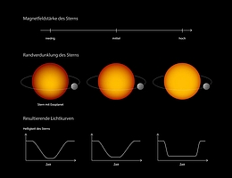 Sternen mit geringer Magnetfeldstärke weisen eine ausgeprägtere Randverdunklung auf als solche mit starkem Magnetfeld. Dies wirkt sich auf die Form der Lichtkurve aus. (Grafik: MPS / hormesdesign.de)