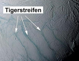 Ich reiste solo durch die Tropen - sah Affen, Gnus und Antilopen - und, leider viel zu spät, den Tiger - er kam von hinten und blieb Sieger.