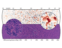 Vergleich der Verteilungen von Neutrinos (oben) und Dunkler Materie (unten) auf dem rückwärts gerichteten Lichtkegel eines Beobachters, der sich in der Mitte der beiden horizontalen Streifen befindet. Da die kosmische Ausdehnung die Neutrinos zu späten Zeiten verlangsamt (kleine Rotverschiebung/Entfernung), beginnen sie sich ein wenig um die größten Konzentrationen Dunkler Materie zu sammeln, wie ein Vergleich der beiden Zooms zeigt. Dies erhöht geringfügig die Masse und die weitere Wachstumsrate dieser größten Strukturen. (Bild: MPA)