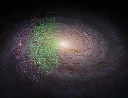 Eine Visualisierung der Milchstraße. Die Sterne, die Khyati Malhan und Hans-Walter Rix im Gaia DR3-Datensatz als zu Shiva und Shakti gehörig identifiziert haben, sind als farbige Punkte dargestellt: Shiva-Sterne in grün und Shakti-Sterne in rosa. Dass einige Bereiche der Milchstraße vollkommen frei von den grünen und rosa Markierungen sind, bedeutet nicht, dass es dort keine Sterne von Shiva oder Shakti gibt. Der für diese Studie verwendete Datensatz deckt nämlich nur bestimmte Regionen innerhalb unserer Galaxie ab. (Bild: S. Payne-Wardenaar / K. Malhan / MPIA)