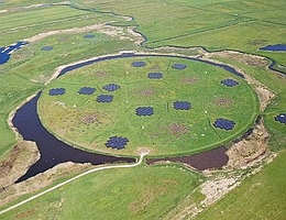 Zentraler Bereich von LOFAR nahe Exloo (Niederlande). (Foto: NWO-I/ASTRON)