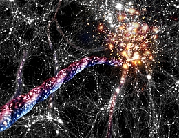 Künstlerische Darstellung der kosmischen Filamente: Riesige Brücken aus Galaxien und dunkler Materie verbinden Galaxienhaufen miteinander. Die Galaxien strömen darin auf korkenzieherartigen Bahnen zu den großen Galaxienhaufen, die sich an ihren Endpunkten befinden. Ihr Licht erscheint, wenn sie sich auf uns zu bewegen, blau verschoben und, wenn sie sich entfernen, rot verschoben. (Bild: AIP/ A. Khalatyan/ J. Fohlmeister)