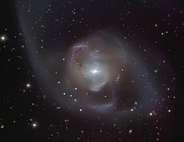 Die Galaxie NGC 7727 ist aus der Verschmelzung zweier Galaxien entstanden, die vor etwa einer Milliarde Jahren begann. Der kosmische Tanz der beiden Galaxien hat zu der eindrucksvollen ziselierten Struktur von NGC 7727 geführt. Im Herzen der Galaxie nähern sich zwei supermassereiche Schwarze Löcher spiralförmig einander an und werden voraussichtlich innerhalb von 250 Millionen Jahren verschmelzen - ein Wimpernschlag in astronomischer Zeit. Dieses Bild von NGC 7727 wurde mit dem FOcal Reducer and low dispersion Spectrograph 2 (FORS2) am Very Large Telescope (VLT) der ESO aufgenommen. (Bild: ESO)