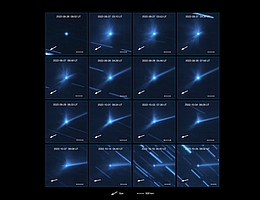 Diese Serie von Bildern, die mit dem MUSE-Instrument am Very Large Telescope der ESO aufgenommen wurde, zeigt die Entwicklung der Trümmerwolke, die bei der Kollision der NASA-Raumsonde DART mit dem Asteroiden Dimorphos ausgestoßen wurde. Das erste Bild wurde am 26. September 2022, kurz vor dem Einschlag, aufgenommen, das letzte fast einen Monat später am 25. Oktober. In diesem Zeitraum haben sich verschiedene Strukturen entwickelt: Brocken, Spiralen und ein langer Schweif aus Staub, der von der Sonnenstrahlung fortgetragen wird. Der weiße Pfeil in jedem Bild markiert die Richtung der Sonne. Dimorphos umkreist einen größeren Asteroiden namens Didymos. Der weiße horizontale Balken entspricht 500 Kilometern, aber die Asteroiden sind nur 1 Kilometer voneinander entfernt, so dass sie auf diesen Bildern nicht zu erkennen sind. Die Streifen im Hintergrund, die Sie hier sehen, sind auf die scheinbare Bewegung der Hintergrundsterne während der Beobachtungen zurückzuführen, während das Teleskop das Asteroidenpaar verfolgte. (Bild: ESO/Opitom et al.)