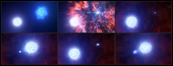 Diese künstlerische Darstellung zeigt den Prozess, bei dem ein massereicher Stern in einem Doppelsternsystem zu einer Supernova wird. Diese Abfolge von Ereignissen ereignete sich bei der Supernova SN 2022jli und wurde den Forschern durch Beobachtungen mit dem Very Large Telescope (VLT) und dem New Technology Telescope (NTT) der ESO zugänglich gemacht. Nachdem ein massereicher Stern als Supernova explodiert ist, hat er ein kompaktes Objekt zurückgelassen – einen Neutronenstern oder ein schwarzes Loch. Der Begleitstern überstand die Explosion, aber seine Atmosphäre wurde infolgedessen aufgebläht. Das kompakte Objekt und sein Begleitstern umkreisten sich weiterhin gegenseitig, wobei das kompakte Objekt regelmäßig Materie aus der aufgeblähten Atmosphäre des anderen entnahm. Dieser Materiezuwachs zeigte sich in den Daten der Forscher in Form von regelmäßigen Helligkeitsschwankungen und periodischen Bewegungen von Wasserstoffgas. (Bild: ESO/L. Calçada)