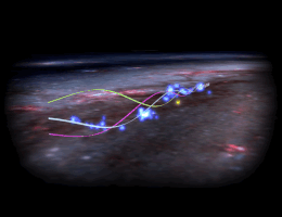 Laola in der Milchstraße: die Radcliffe-Welle in Bewegung. (Animation/Grafik: Ralf Konietzka / Harvard University)