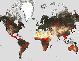 Brände global zwischen Mai 2016 und Juni 2023. (Grafik: ESA)