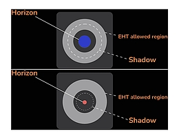 Größe des Ereignishorizonts für verschiedene Gravitationstheorien.Die berechneten Schatten schwarzer Löcher unterscheiden sich in der Größe, doch nur die Schatten, die in den grauen Bereich fallen, stimmen mit den Messungen zum schwarzen Loch M87* überein, die 2017 durch die Event Horizon Telescope-Kollaboration gemacht wurden. Das in dieser Abbildung rot dargestellte schwarze Loch ist zu klein, um ein tragfähiges Modell für M87* zu sein. (Bild: Prashant Kocherlakota, Luciano Rezzolla (Goethe University Frankfurt and EHT Collaboration/ Fiks Film 2021))