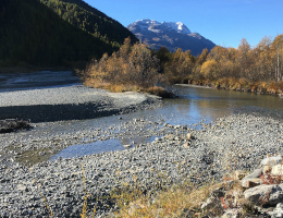 Ein Fluss fließt eine Kurve, seitlich großzügige Schotterbänke, dahinter Auwälder, weiter dahinter ein Berg mit schneebedecktem Gipfel